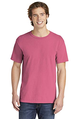 Comfort Colors Adult Short Sleeve Tee, Style , Crunchberry (pack), XX Large
